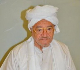 عبدالعزيز عبدالغني إبراهيم