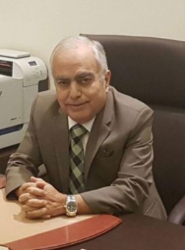 حلمي محمد الحجار