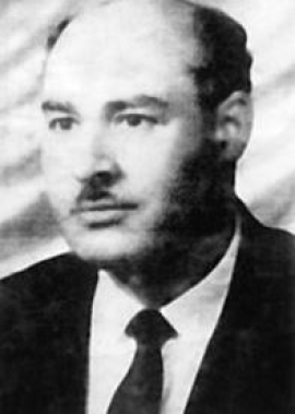 محمد محمود زيتون