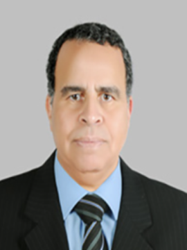 محمد مؤنس عوض