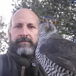 خافيير سيباللوس Javier Ceballos