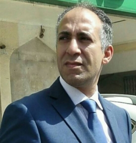 محمد حسن عبدالحافظ