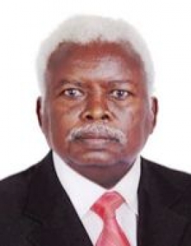 الشيخ محمد الشيخ