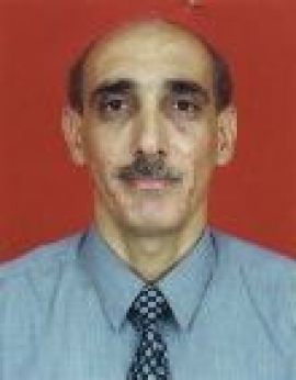 فيصل الحجلي