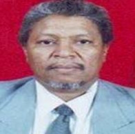 عوض الحسن النور