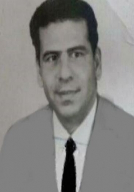 فوزي محمد سامي