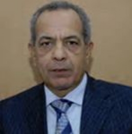 أسامة منصور السواح