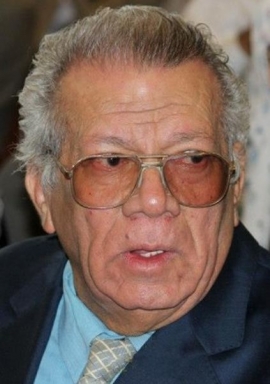 أنيس حسن يحيى