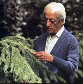 كريشنا مورتي