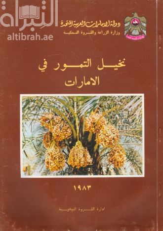نخيل التمور في الإمارات