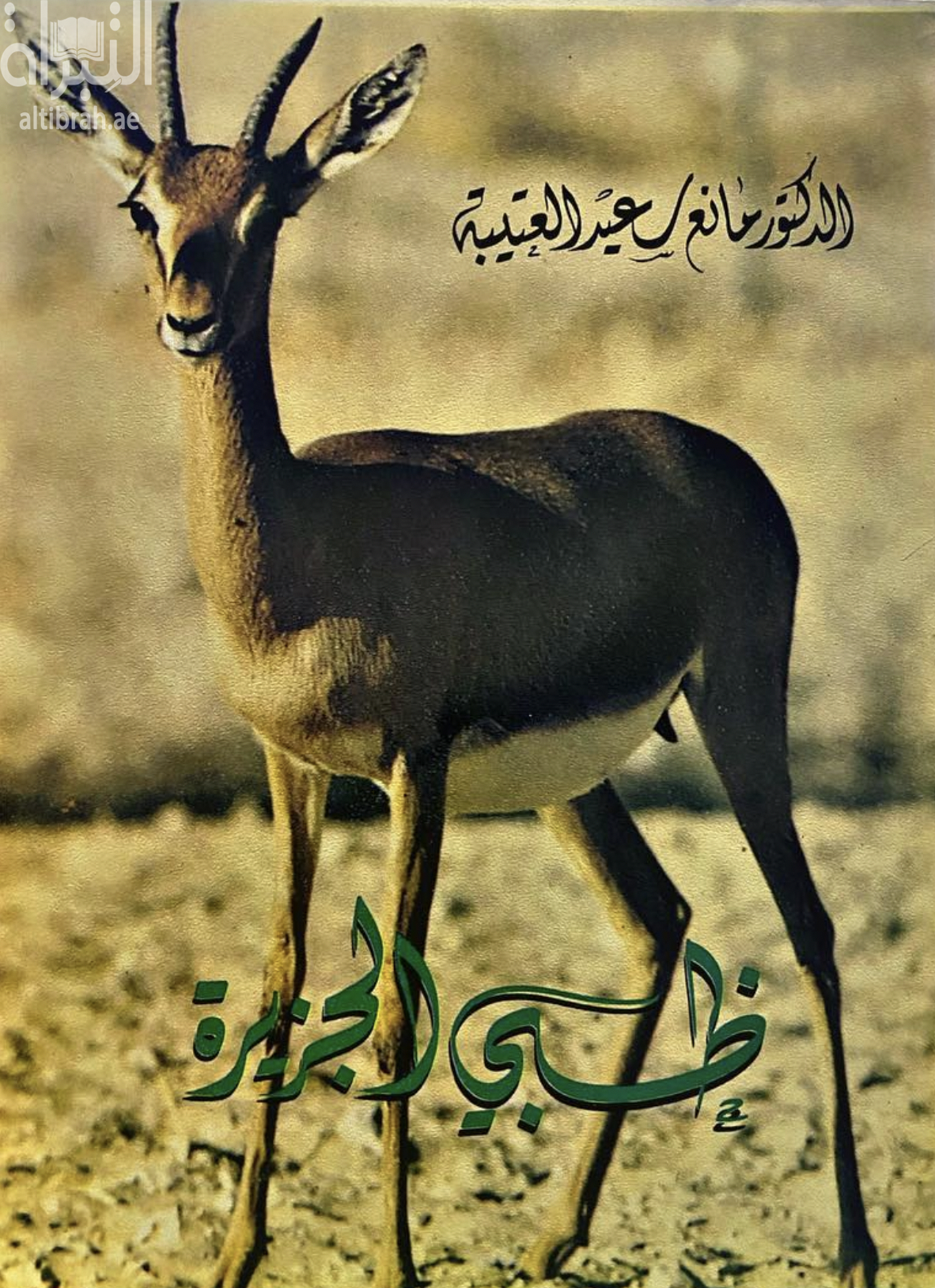 ظبي الجزيرة