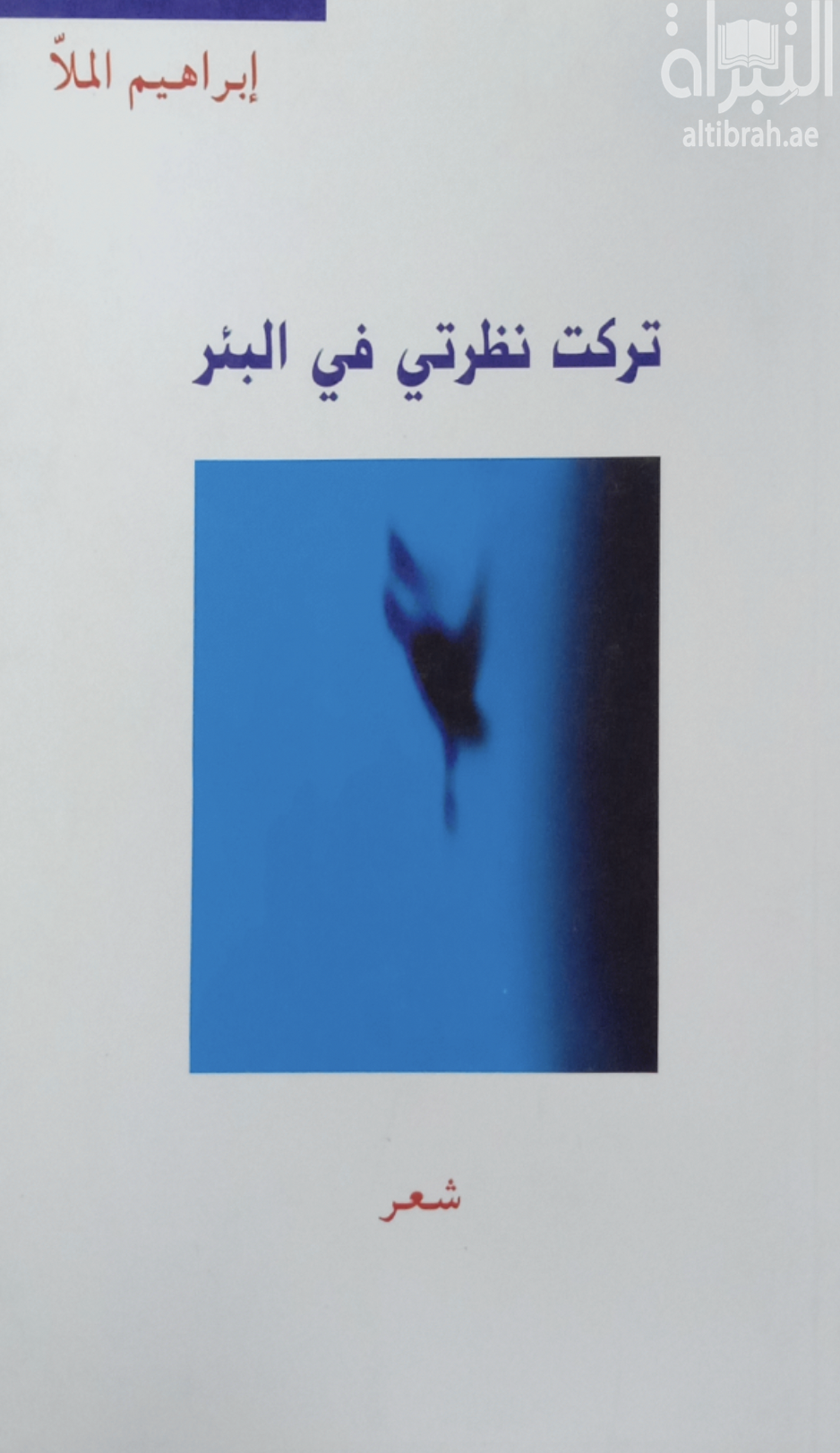 تركت نظرتي في البئر