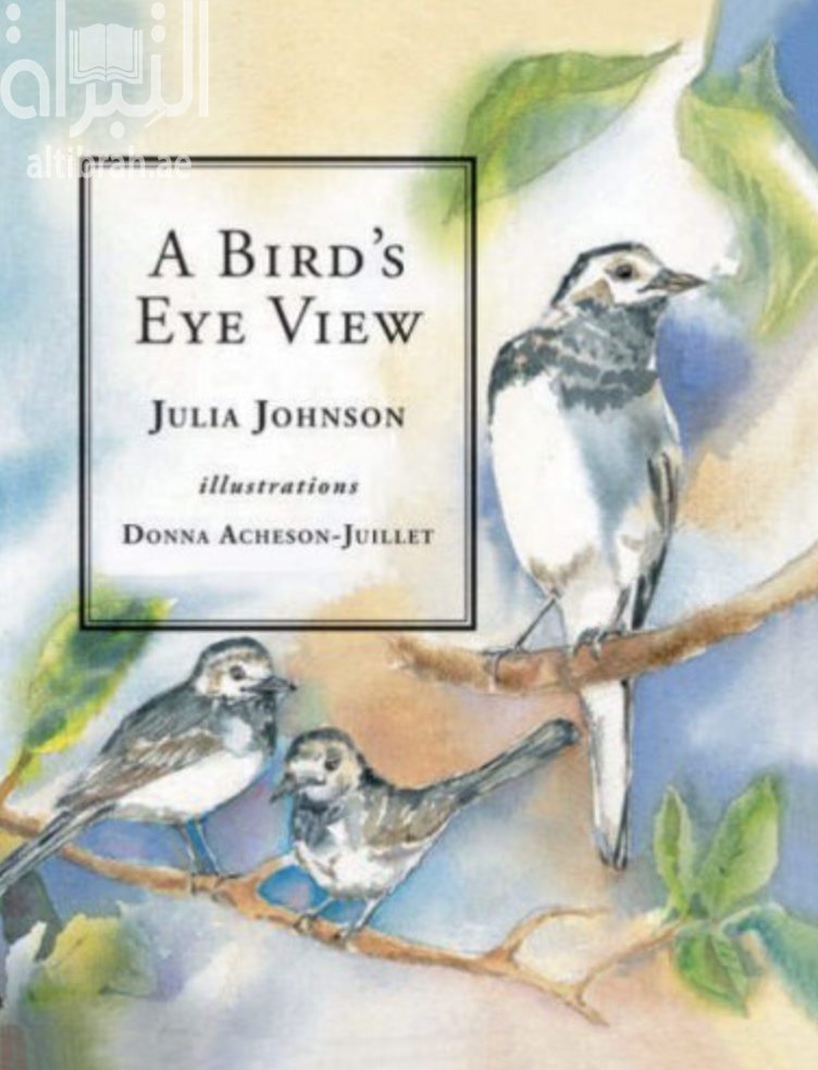 منظر من أعلى Bird's Eye View