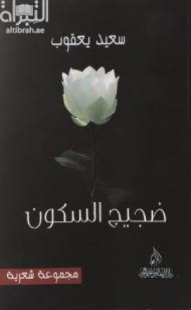 ضجيج السكون