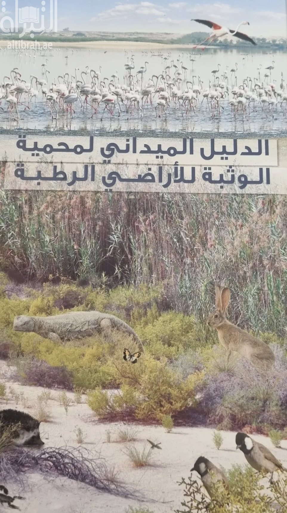 الدليل الميداني لمحمية الوثبة للأراضي الرطبة : دليل خاص بالأنواع الشائعة من الطيور و الثدييات و النباتات و الزواحف و اللافقاريات