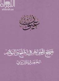 جمع الجواهر في الملح والنوادر
