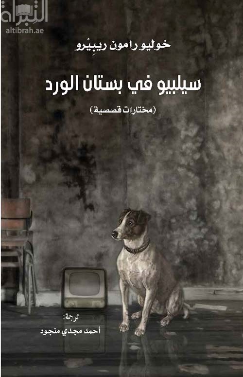 سيلبيو في بستان الورد