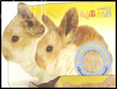 أرنوب وأصدقاؤه