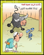 لماذا غضب الثور ؟