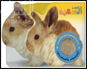 بني وأصدقاؤه