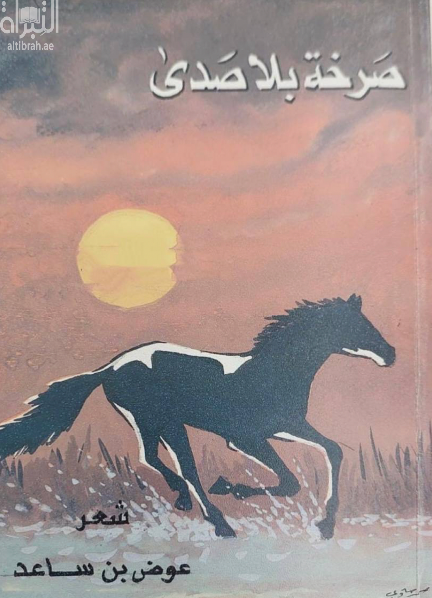 صرخة بلا صدى