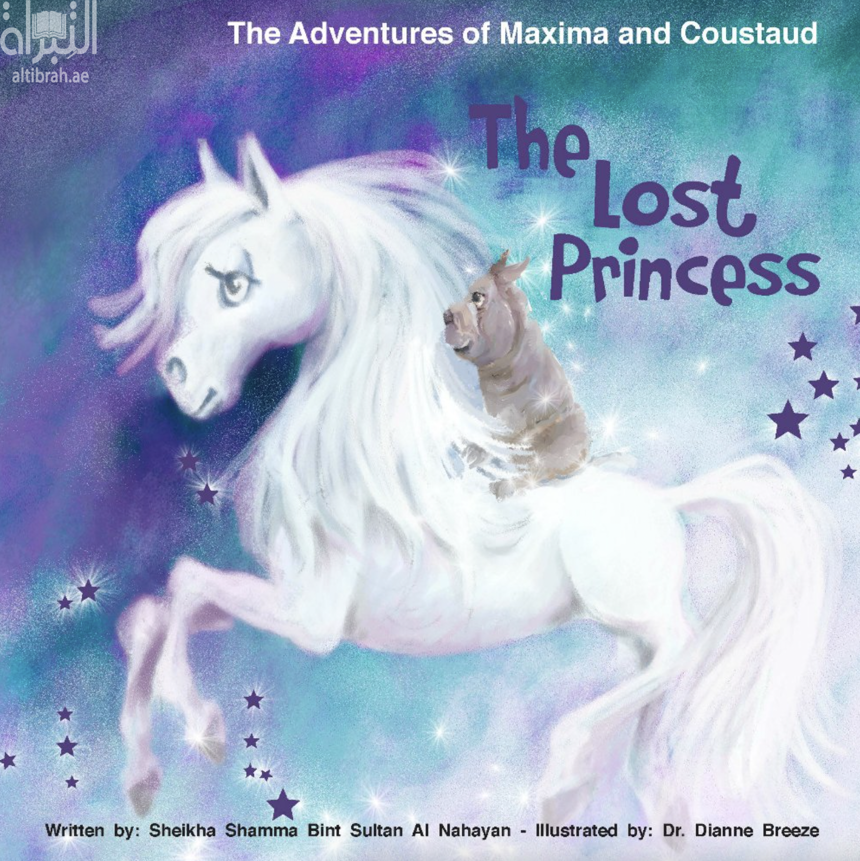 The Adventures of Maxima and Coustaud: In Search of a Global Solution