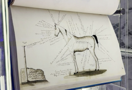 «أبوظبي للغة العربية» يعرض مخطوطة «الخيول الشرقية وسلالاتها» النادرة