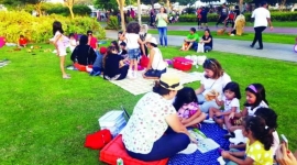 15 كاتبة وتشكيلية يلتقين شهرياً لمزيد من الدعم والإبداع «هن».. مجموعة مبادرات في عام القراءة