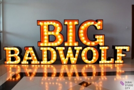 «بيغ باد وولف» يقدم 3 ملايين عنوان - دبي تفتح ذراعيها لأكبر معرض للكتاب في العالم