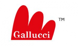 Rome : Gallucci editore