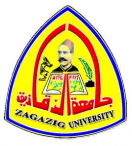 القاهرة : جامعة الزقازيق
